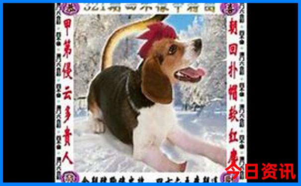内幕澳门管家婆100%全新免费精准全网首发全新领取-管家婆100期期中管家